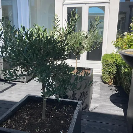 Georges - Centre - *